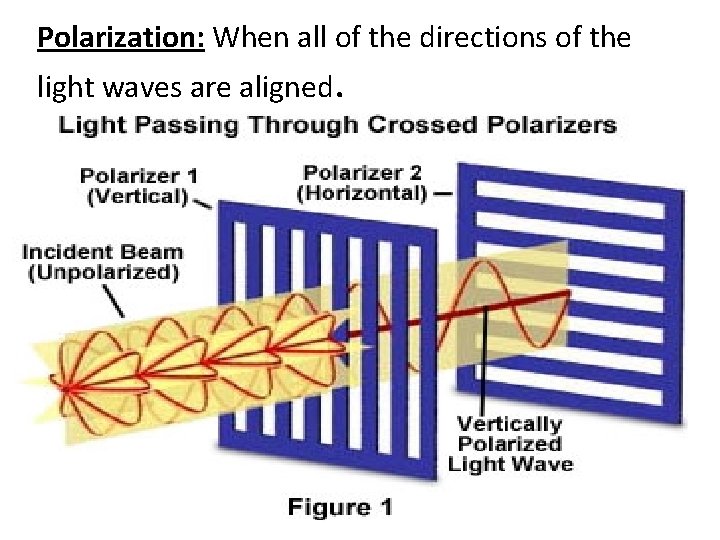 Polarization: When all of the directions of the light waves are aligned. 