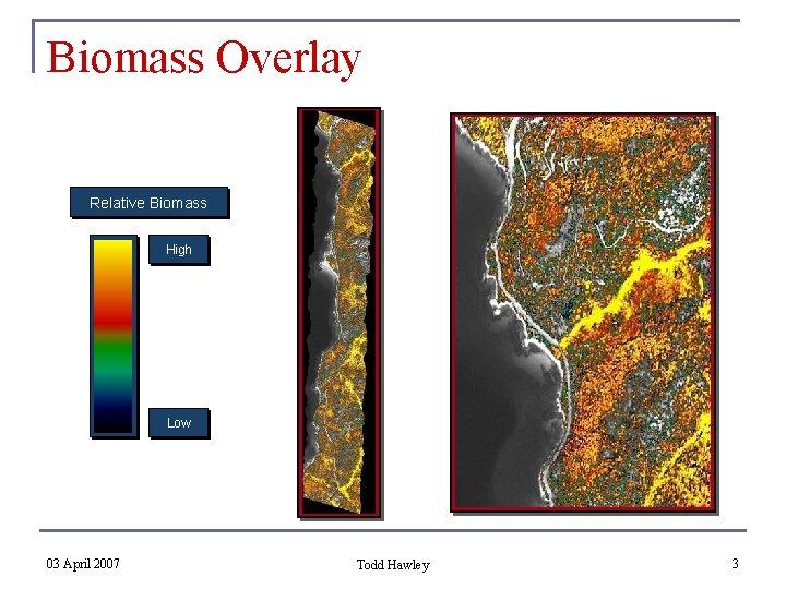 Biomass Overlay Relative Biomass High Low 03 April 2007 Todd Hawley 3 