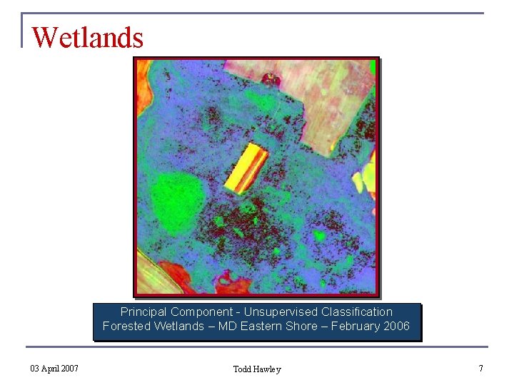 Wetlands Principal Component - Unsupervised Classification Forested Wetlands – MD Eastern Shore – February