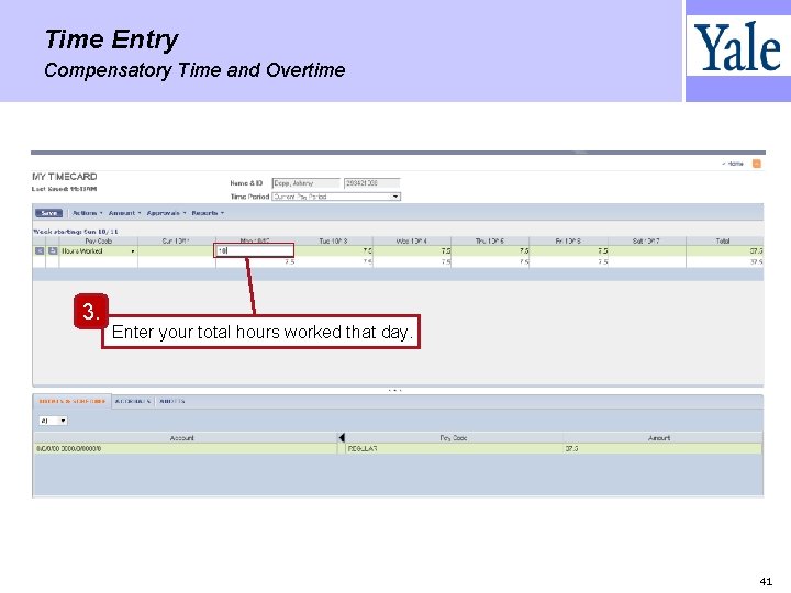 Time Entry Compensatory Time and Overtime 3. Enter your total hours worked that day.