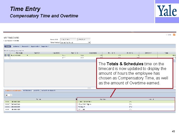 Time Entry Compensatory Time and Overtime The Totals & Schedules time on the timecard