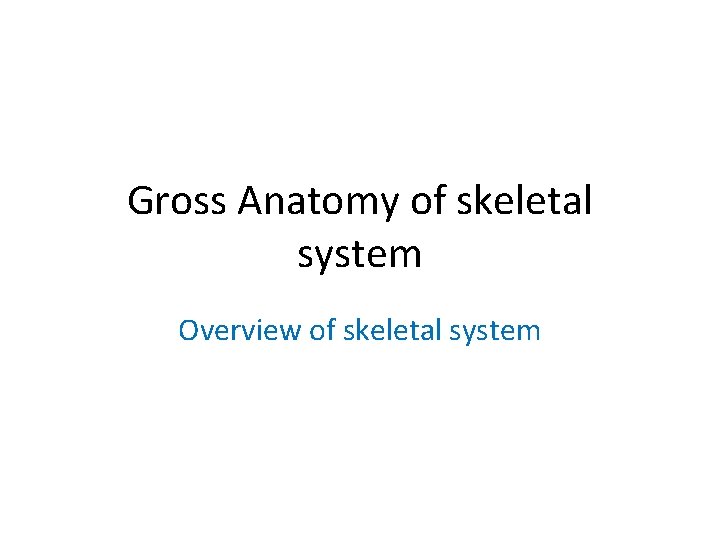 Gross Anatomy of skeletal system Overview of skeletal system 