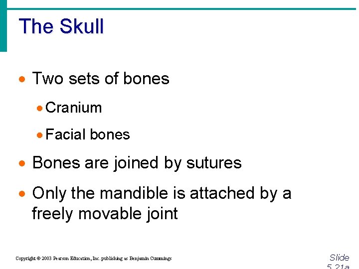 The Skull · Two sets of bones · Cranium · Facial bones · Bones
