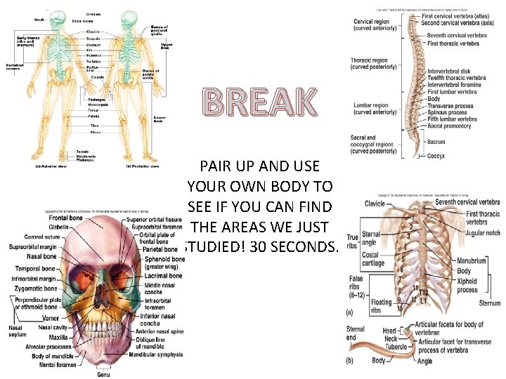BREAK PAIR UP AND USE YOUR OWN BODY TO SEE IF YOU CAN FIND