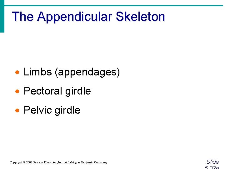 The Appendicular Skeleton · Limbs (appendages) · Pectoral girdle · Pelvic girdle Copyright ©