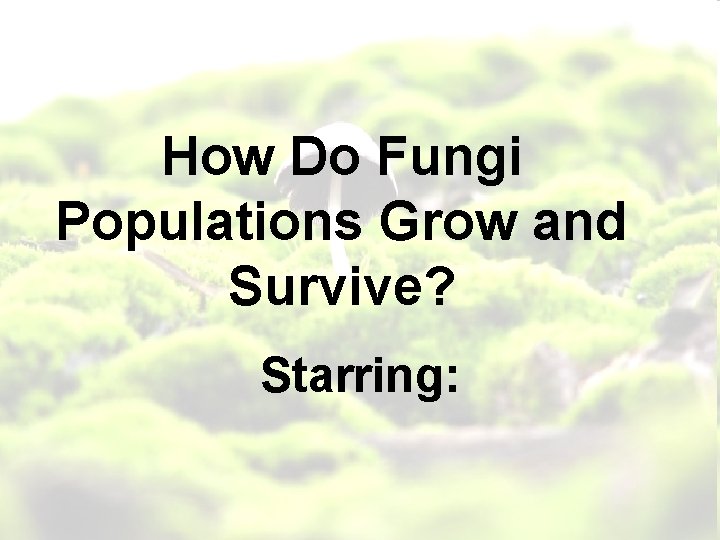 How Do Fungi Populations Grow and Survive? Starring: 