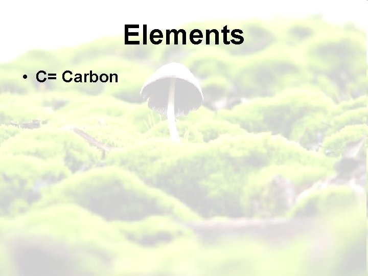Elements • C= Carbon 