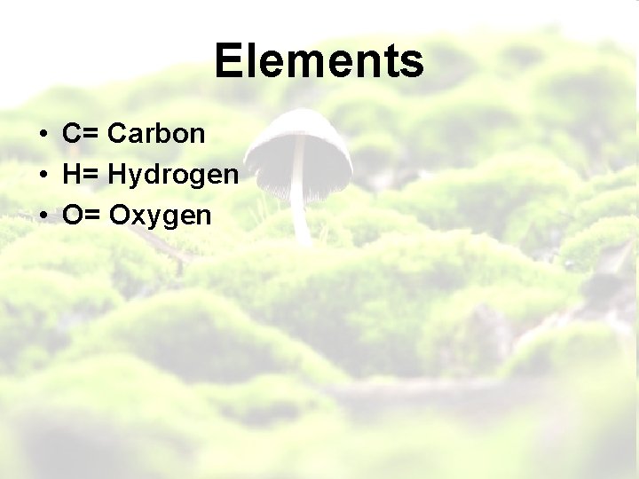 Elements • C= Carbon • H= Hydrogen • O= Oxygen 