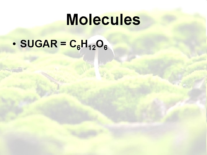 Molecules • SUGAR = C 6 H 12 O 6 