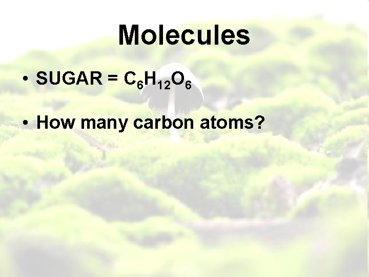 Molecules • SUGAR = C 6 H 12 O 6 • How many carbon