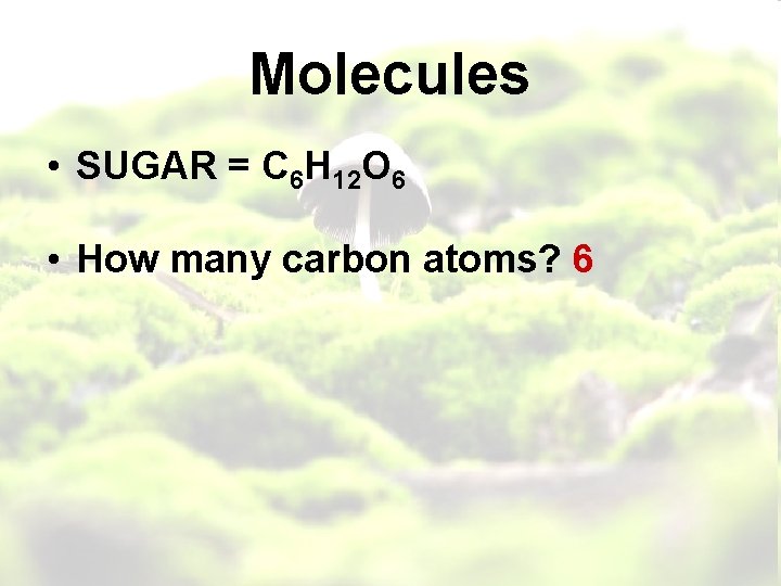 Molecules • SUGAR = C 6 H 12 O 6 • How many carbon