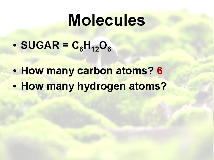 Molecules • SUGAR = C 6 H 12 O 6 • How many carbon