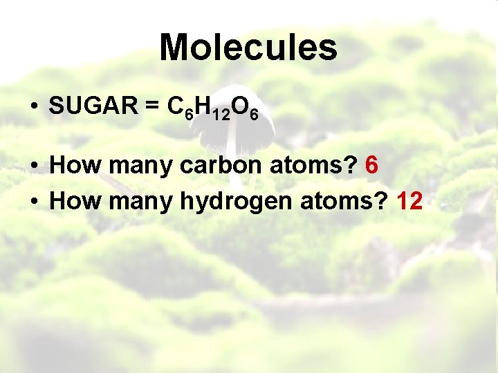Molecules • SUGAR = C 6 H 12 O 6 • How many carbon