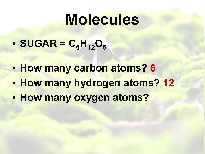 Molecules • SUGAR = C 6 H 12 O 6 • How many carbon