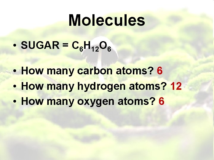 Molecules • SUGAR = C 6 H 12 O 6 • How many carbon