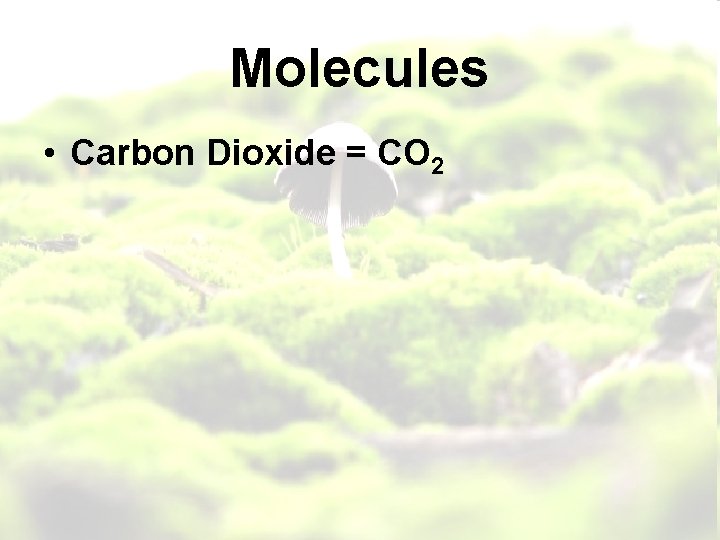 Molecules • Carbon Dioxide = CO 2 