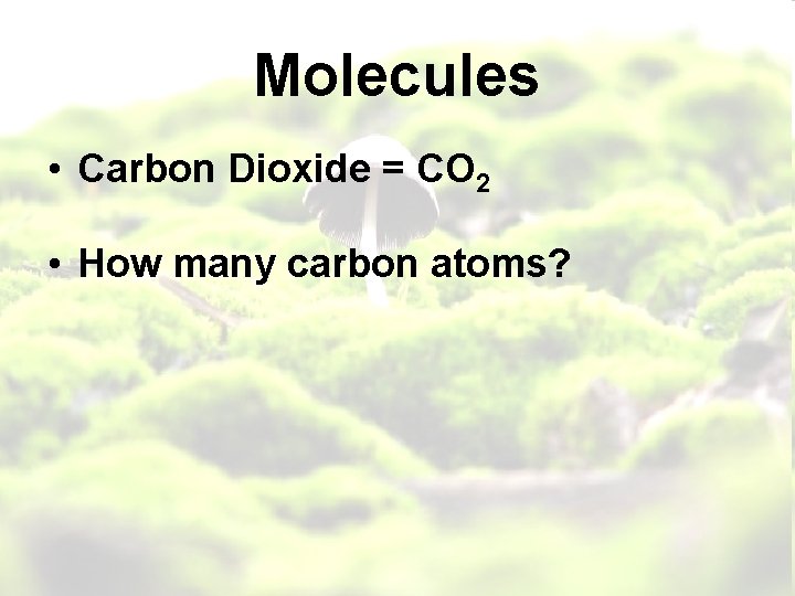 Molecules • Carbon Dioxide = CO 2 • How many carbon atoms? 