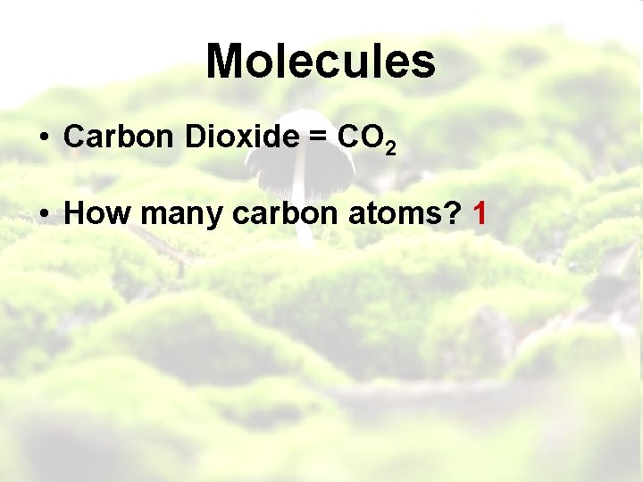Molecules • Carbon Dioxide = CO 2 • How many carbon atoms? 1 