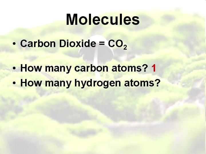 Molecules • Carbon Dioxide = CO 2 • How many carbon atoms? 1 •