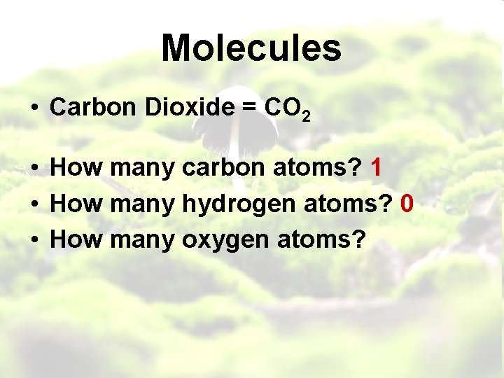 Molecules • Carbon Dioxide = CO 2 • How many carbon atoms? 1 •