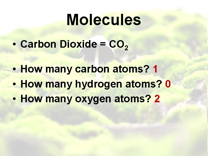 Molecules • Carbon Dioxide = CO 2 • How many carbon atoms? 1 •