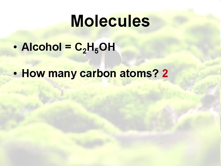 Molecules • Alcohol = C 2 H 5 OH • How many carbon atoms?