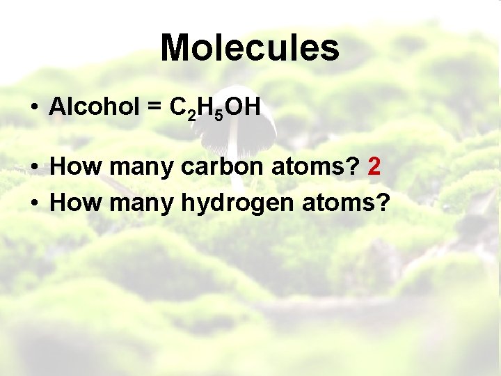 Molecules • Alcohol = C 2 H 5 OH • How many carbon atoms?