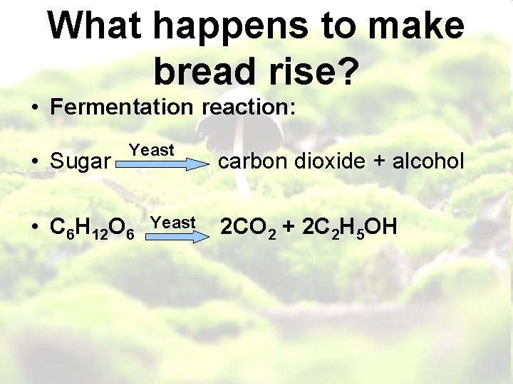 What happens to make bread rise? • Fermentation reaction: • Sugar Yeast • C