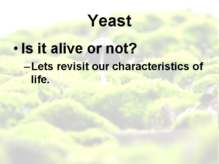Yeast • Is it alive or not? – Lets revisit our characteristics of life.