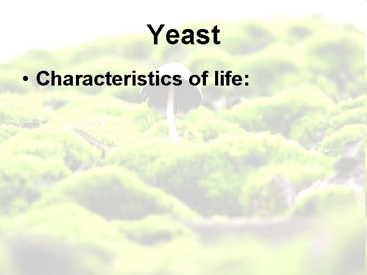 Yeast • Characteristics of life: 