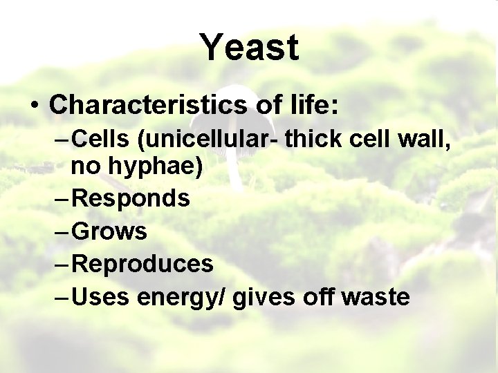 Yeast • Characteristics of life: – Cells (unicellular- thick cell wall, no hyphae) –