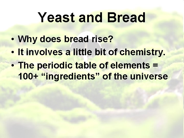 Yeast and Bread • Why does bread rise? • It involves a little bit