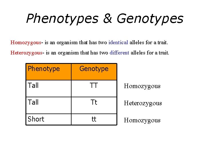 Phenotypes & Genotypes Homozygous- is an organism that has two identical alleles for a