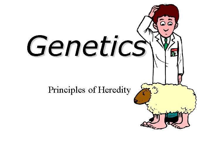 Genetics Principles of Heredity 