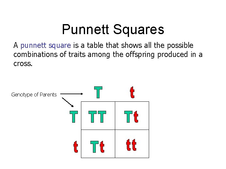 Punnett Squares A punnett square is a table that shows all the possible combinations