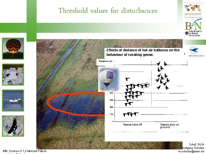 Threshold values for disturbances Effects of distance of hot-air balloons on the behaviour of
