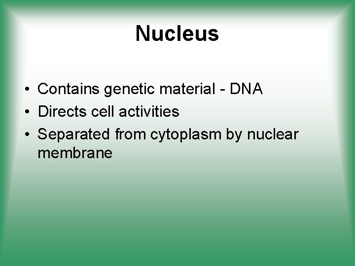 Nucleus • Contains genetic material - DNA • Directs cell activities • Separated from
