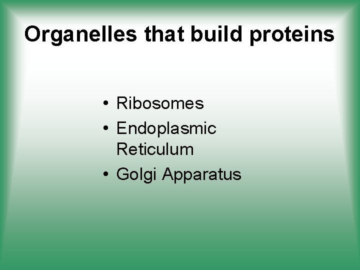 Organelles that build proteins • Ribosomes • Endoplasmic Reticulum • Golgi Apparatus 