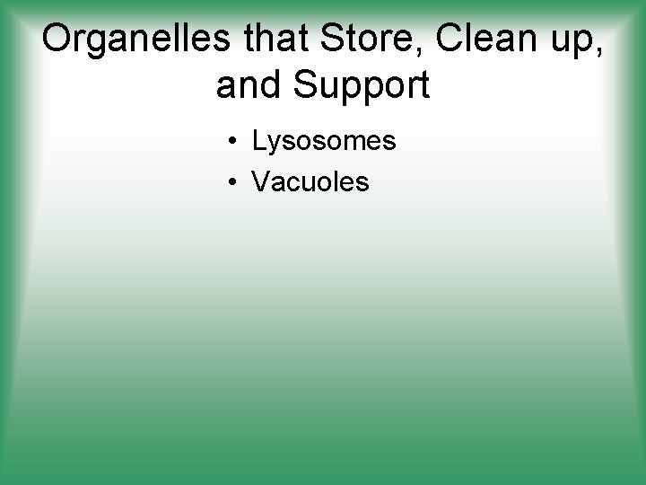 Organelles that Store, Clean up, and Support • Lysosomes • Vacuoles 