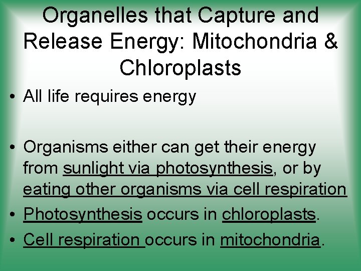 Organelles that Capture and Release Energy: Mitochondria & Chloroplasts • All life requires energy