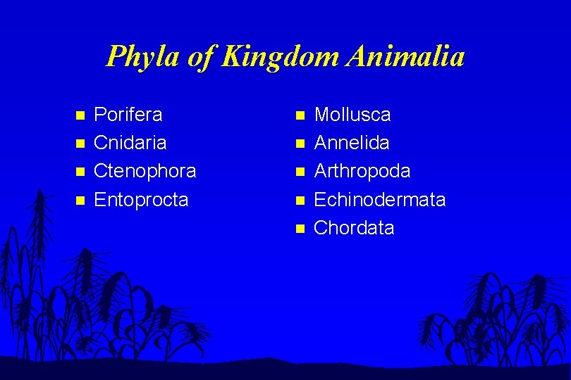 Phyla of Kingdom Animalia n n Porifera Cnidaria Ctenophora Entoprocta n n n Mollusca