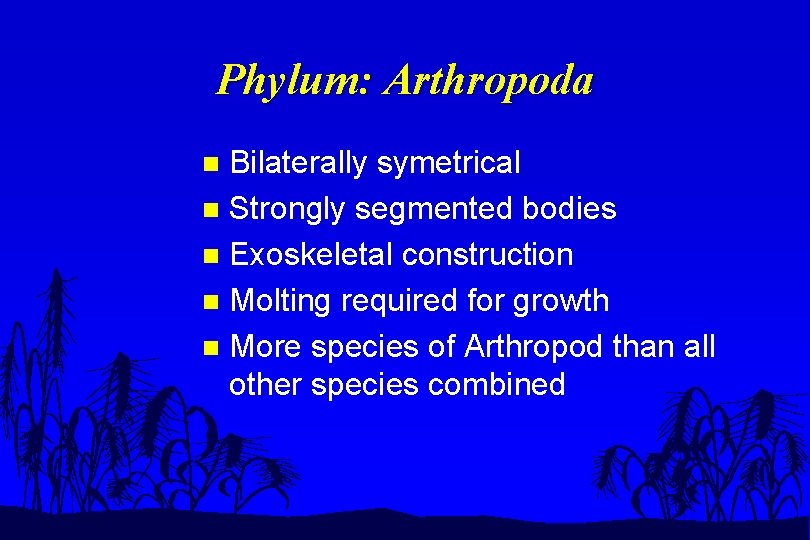 Phylum: Arthropoda Bilaterally symetrical n Strongly segmented bodies n Exoskeletal construction n Molting required