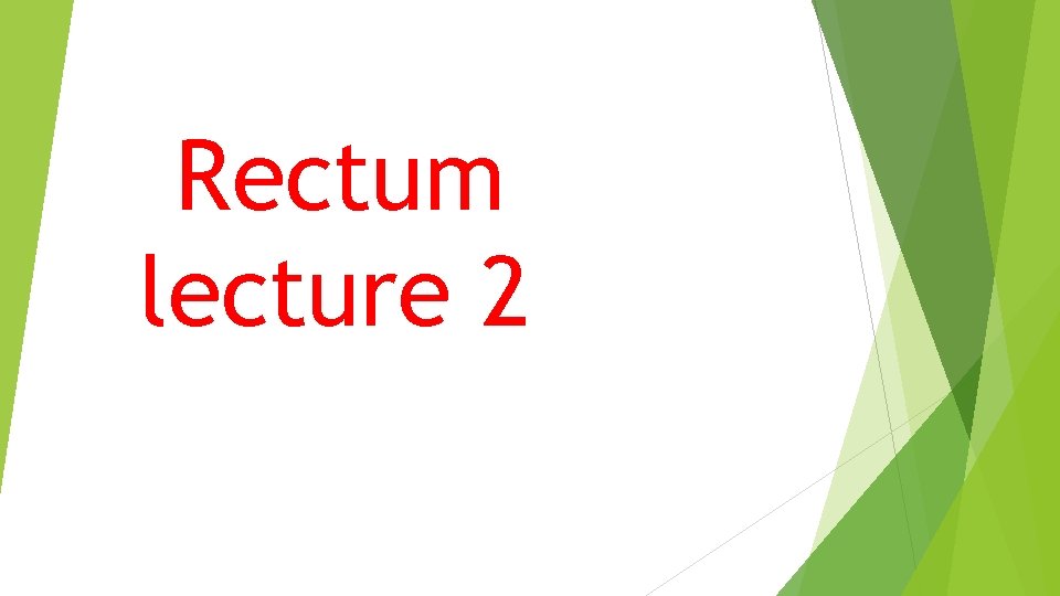 Rectum lecture 2 