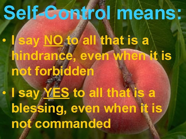 Self-Control means: • I say NO to all that is a hindrance, even when