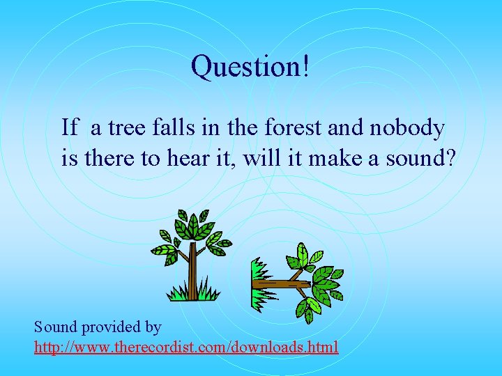 Question! If a tree falls in the forest and nobody is there to hear