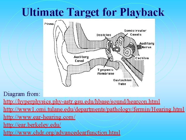 Ultimate Target for Playback Diagram from: http: //hyperphysics. phy-astr. gsu. edu/hbase/sound/hearcon. html http: //www