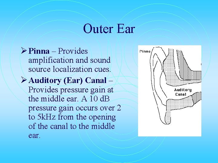 Outer Ear Ø Pinna – Provides amplification and source localization cues. Ø Auditory (Ear)