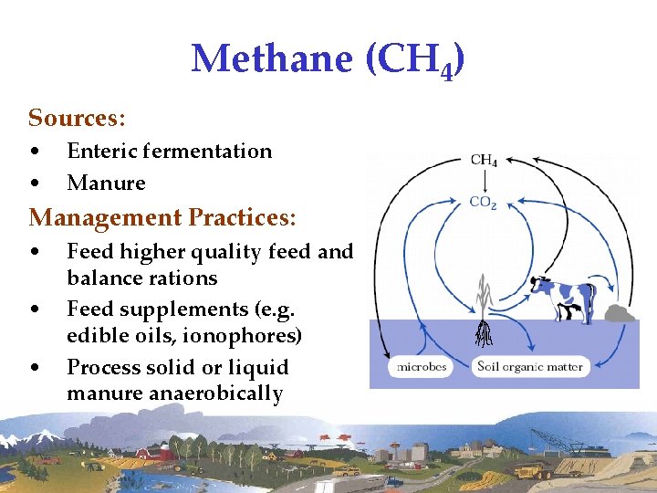Methane (CH 4) Sources: • • Enteric fermentation Manure Management Practices: • • •