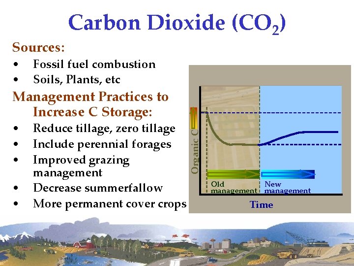 Sources: Carbon Dioxide (CO 2) • • Fossil fuel combustion Soils, Plants, etc •