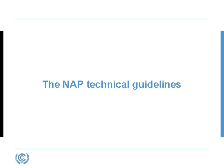 The NAP technical guidelines The NAP technical guidelines